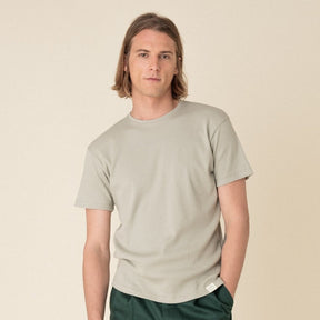 Gobi Sage green